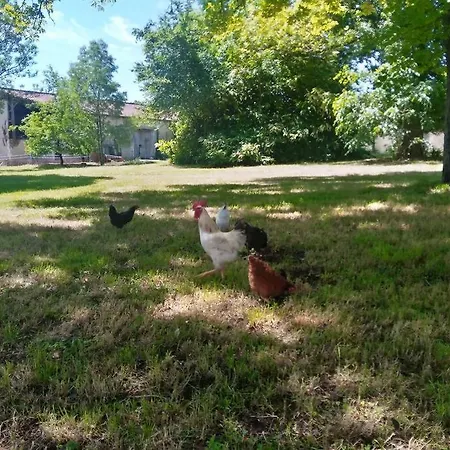 As Seen On A New Life In The Sun - Beautiful 3 Bedroom With Shared Pool Сasa de vacaciones Montboyer