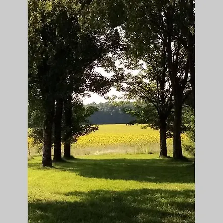 Сasa de vacaciones As Seen On A New Life In The Sun - Beautiful 3 Bedroom With Shared Pool *