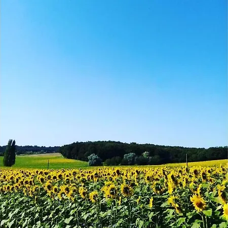 Сasa de vacaciones As Seen On A New Life In The Sun - Beautiful 3 Bedroom With Shared Pool *