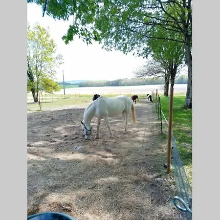 As Seen On A New Life In The Sun - Beautiful 3 Bedroom With Shared Pool Сasa de vacaciones