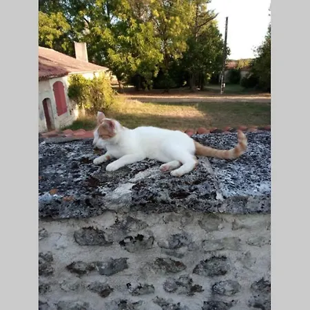 As Seen On A New Life In The Sun - Beautiful 3 Bedroom With Shared Pool Сasa de vacaciones Montboyer