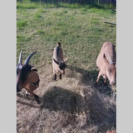 As Seen On A New Life In The Sun - Beautiful 3 Bedroom With Shared Pool * Montboyer