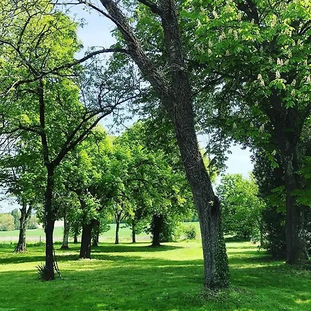 As Seen On A New Life In The Sun - Beautiful 3 Bedroom With Shared Pool Montboyer