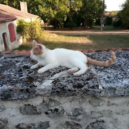 As Seen On A New Life In The Sun - Beautiful 3 Bedroom With Shared Pool *