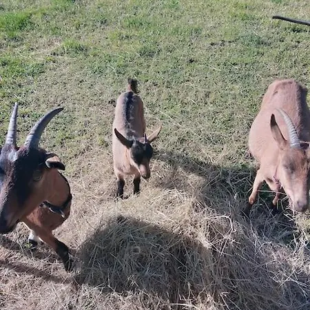 As Seen On A New Life In The Sun - Beautiful 3 Bedroom With Shared Pool * Montboyer