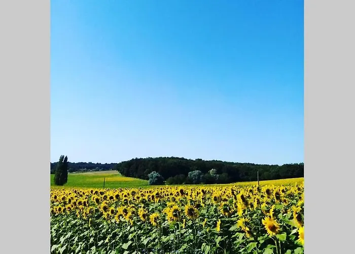 Casa de Férias As Seen On A New Life In The Sun - Beautiful 3 Bedroom With Shared Pool *