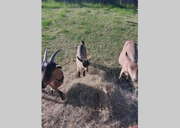 As Seen On A New Life In The Sun - Beautiful 3 Bedroom With Shared Pool * Montboyer