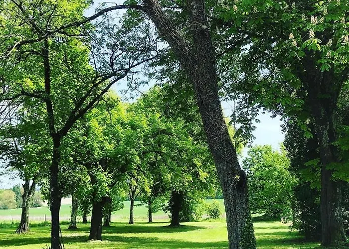 As Seen On A New Life In The Sun - Beautiful 3 Bedroom With Shared Pool Montboyer