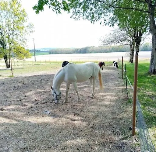 As Seen On A New Life In The Sun - Beautiful 3 Bedroom With Shared Pool Casa de Férias Montboyer