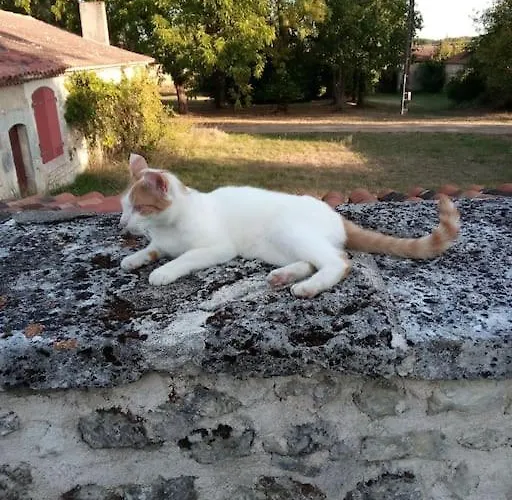 As Seen On A New Life In The Sun - Beautiful 3 Bedroom With Shared Pool *